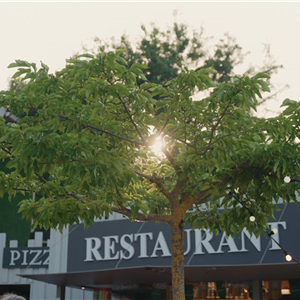 Restaurant et bar, cuisine maison et locale, Camping 3 étoiles en bord du Tarn à Millau